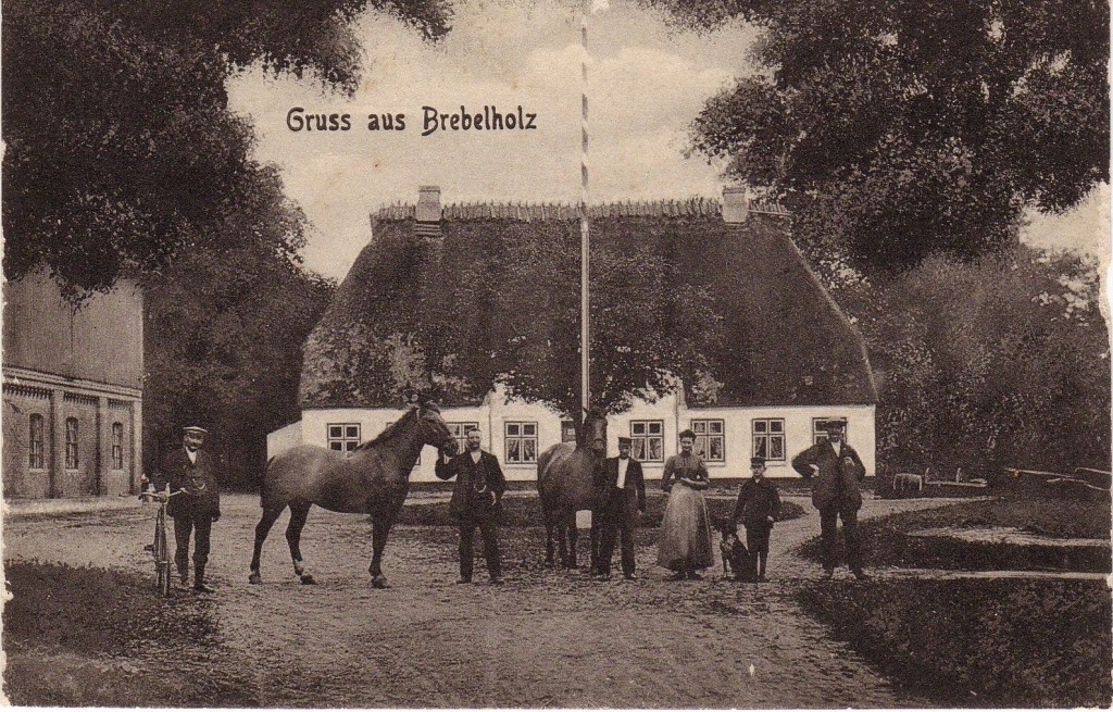 Brebelholz