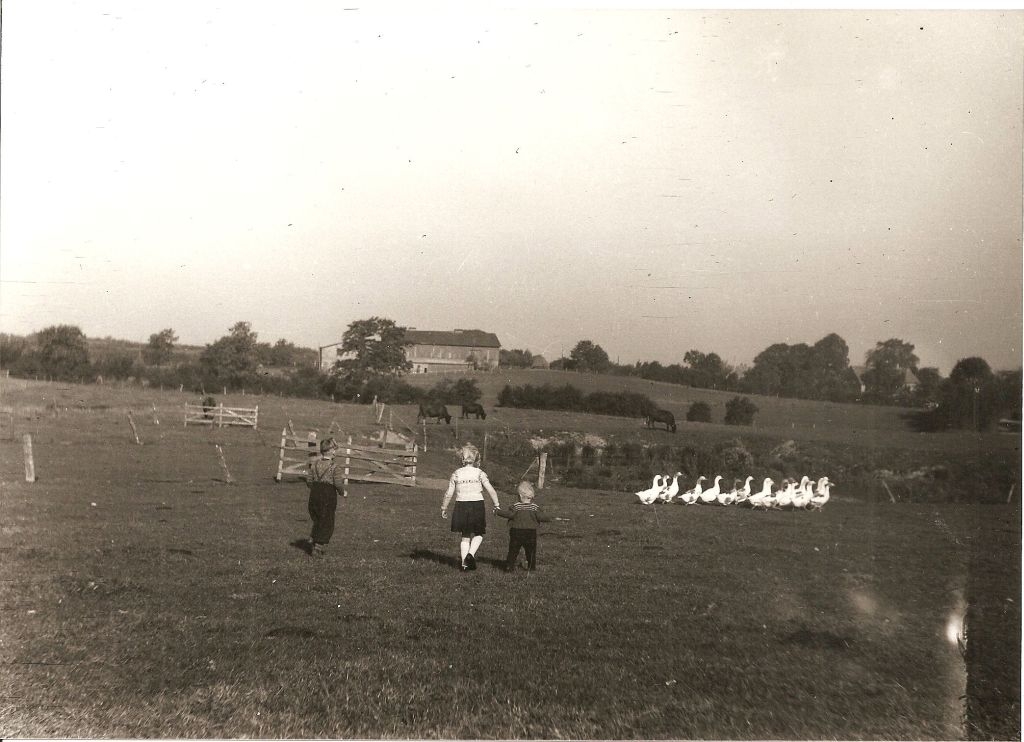 Gaenselieseln