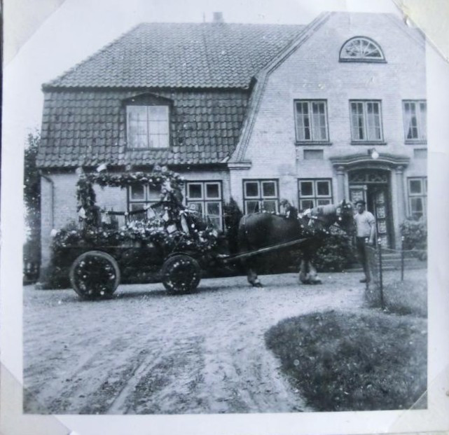 HausPferdewagen