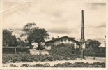 TolkMeierei