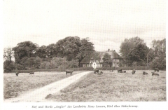 BoeelHansLausen