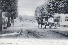 Ecke Pferde
