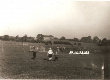 Gaenselieseln