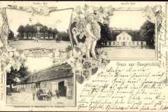 Gangerschild 1902