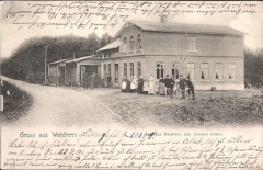 HavetoftloitWaldhorn1905