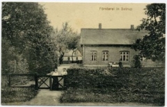 Satrup1915