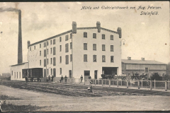 Steinfeld 1911