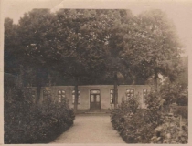 Steinfeld1912