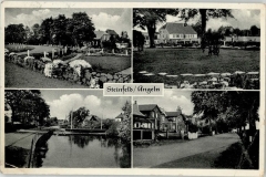 Steinfeld 1952