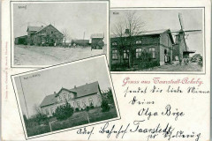 Taarstedt1904