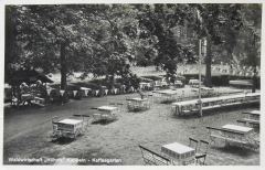 WaldwirtschaftHueholz