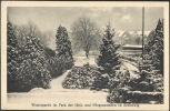 Irrenanstalt-Park