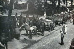 Pferdemarkt