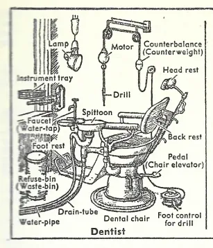 Dentist
