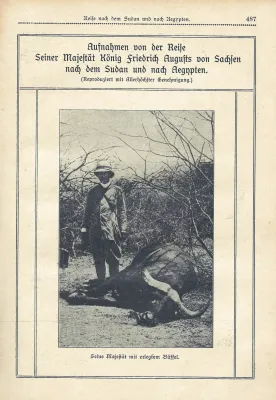 Koenig1