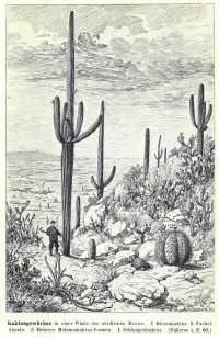 Mexiko