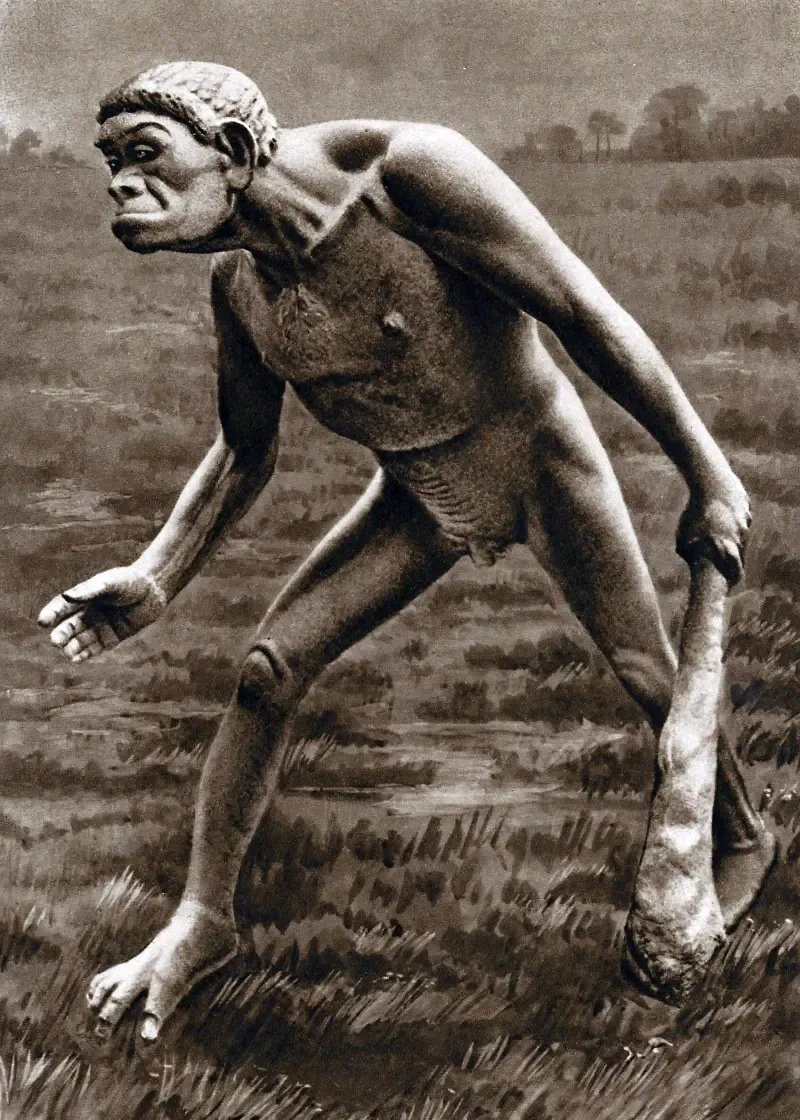 Neandertaler