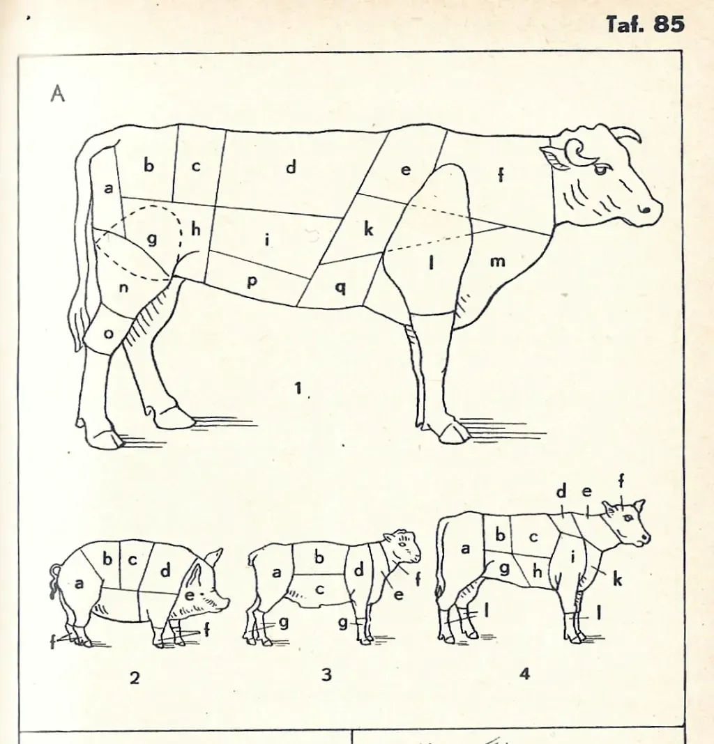 Schlachtteile1