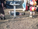 Wacken12