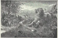 Kampf