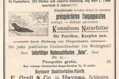 Anzeige 1905