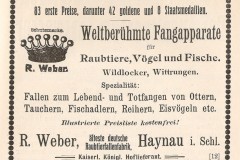 Anzeige 1905