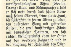 Beschreibung