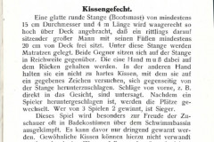 Kissengefecht