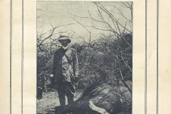 Koenig1