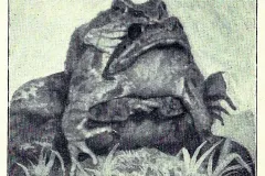 Kroeten