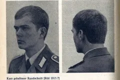 Kurzer Rundschnitt
