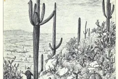 Mexiko
