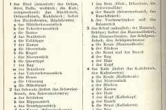 Schlachtteile