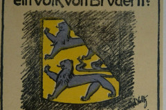 Schleswig, Abstimmung