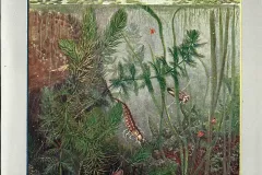 Wassertropfen