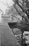 Gottorfer Muehlenbach