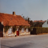 Karpfenteich Karpfenteich
