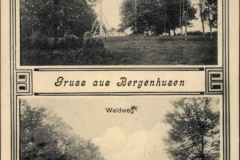 Bergenhusen