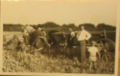 Dannewerk1935-06