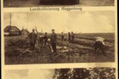 Meggerkoog