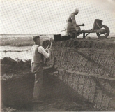 TetenhusenerMoor
