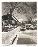 Holm im Winter