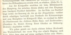 Pferderennen1905