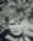 t-pagel