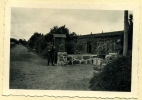 A38-03
