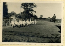 A40-01