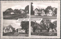 Scheggerott1972