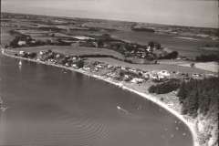 MissundeSchwansenLuftaufnahme