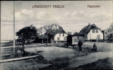 Maasholm 1920