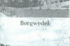 Borgwedel